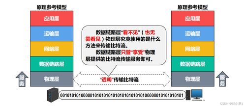 计算机网络之物理层 信息管理与服务的基础基石