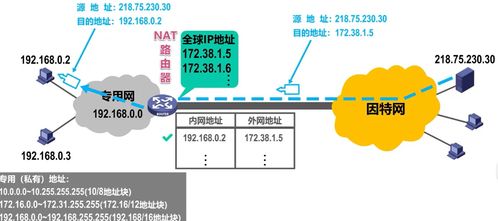 计算机网络信息管理与服务